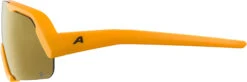 Alpina Rocket Youth Q-Lite - Lunettes De Sport Pour Jeunes 5 Alpina Rocket Youth Q-Lite - Lunettes De Sport Pour Jeunes -Cyclisme Vêtements Boutique Alpina Rocket Youth Q Lite Jugend Sportbrille A8714041 3
